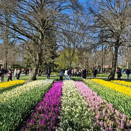 Apartmán De Creutz Beverwijk