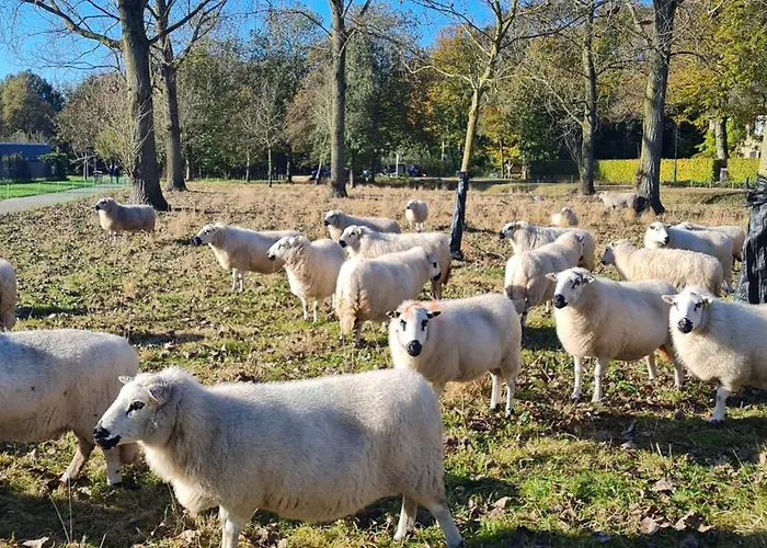 De Creutz Appartement