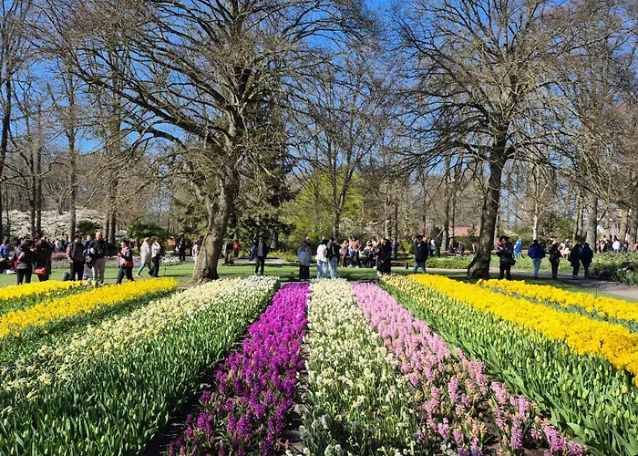Appartement De Creutz Beverwijk